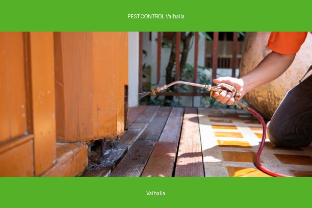PEST CONTROL Valhalla